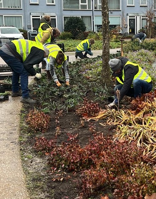 20231209 Nieuwe plantjes 01s