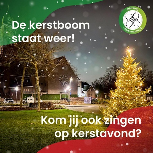 20251224 Kerstboom