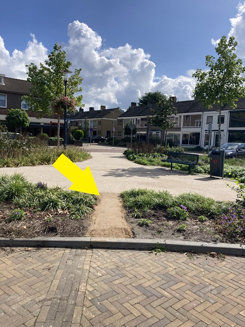20260916 OLIFANTEN RUKKEN OP IN WILLEM ALEXANDERPARK