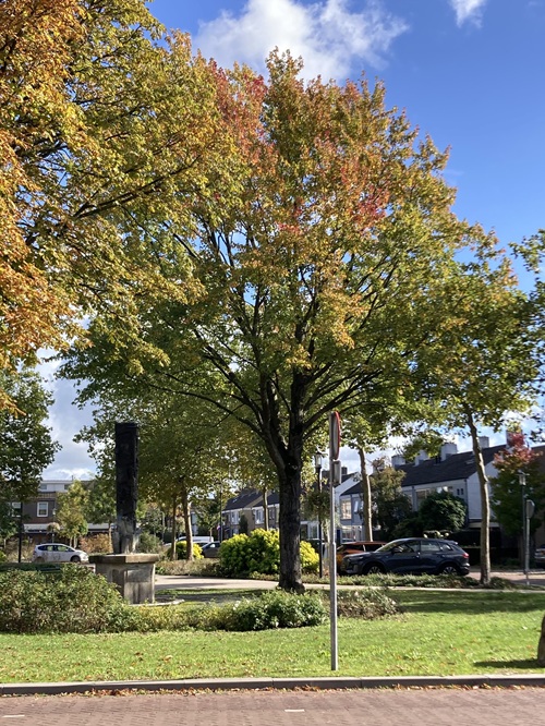 20261018 OUDEWIJVENZOMER SCHENKT PARK HERFSTKLEURENPRACHT