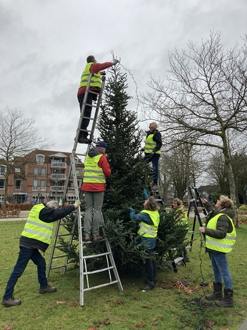 20231209 Kerstboom planten foto 106s